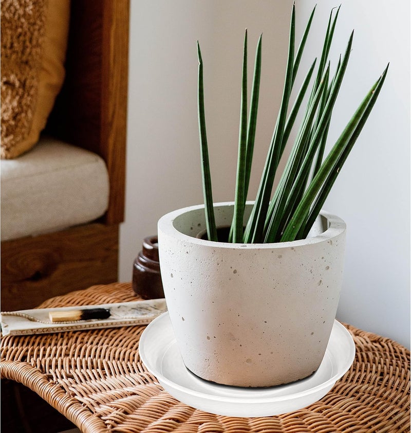 Bleuhome 2 Pack of 10 inch Plant Saucer Gray, Heavy Duty Plastic Plant Saucer 10 inch Round, Durable Plant Tray for Pots, Plant Saucers for Indoors, Plant Trays for Planter 9"/10" (10", Clear) - Image 4